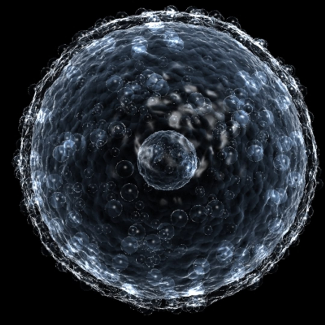 3d 20 micro objects set model https://p.turbosquid.com/ts-thumb/Jq/T8C8Z0/A1hFQDzb/infectedcell/jpg/1214243795/1920x1080/fit_q87/f50ffb9689de45ed49e191239e28df9889343ef6/infectedcell.jpg