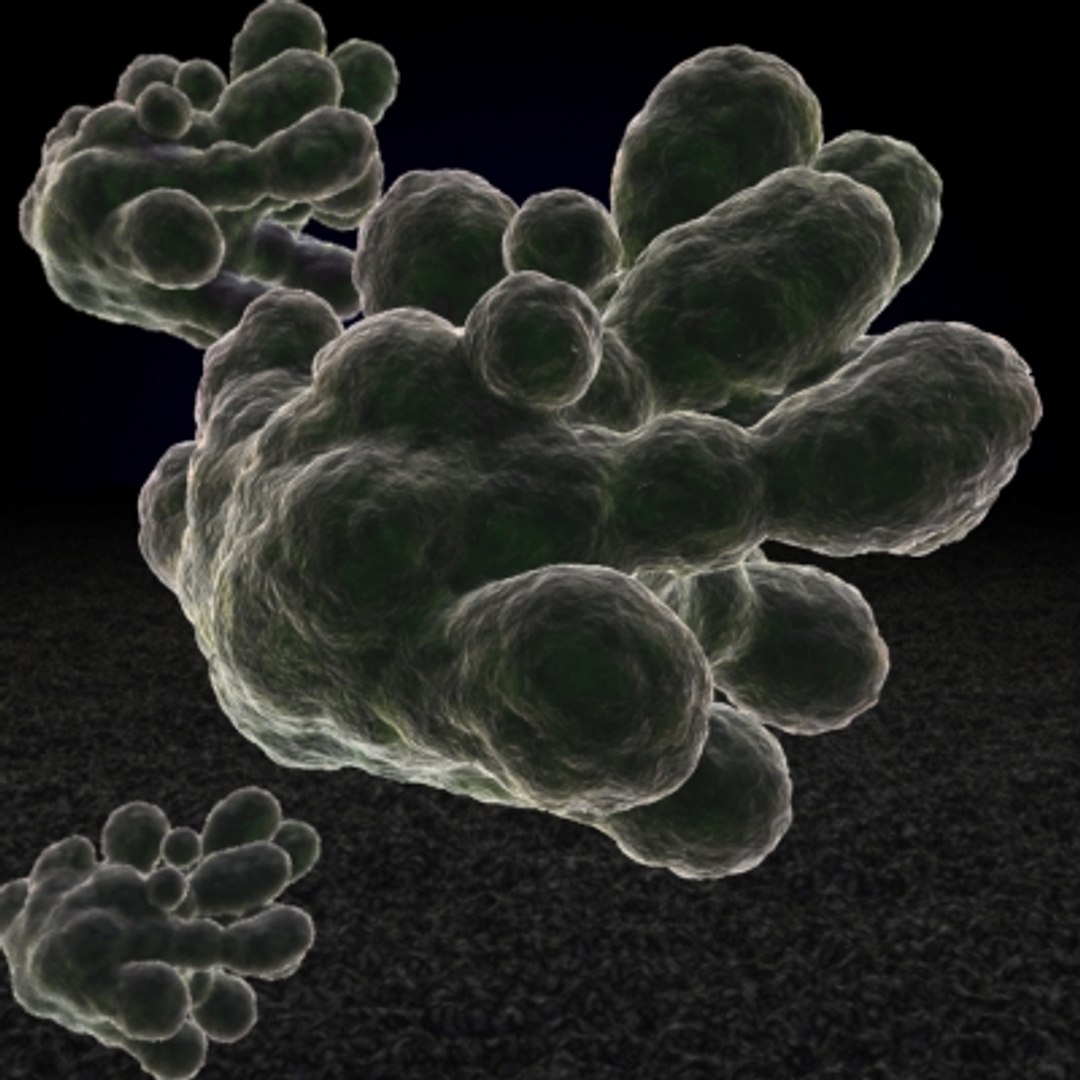 3d 20 micro objects set model https://p.turbosquid.com/ts-thumb/Jq/T8C8Z0/NLpmT1GD/amoeba/jpg/1214243765/1920x1080/fit_q87/6d33c7ab0074ac7fa2d5661f460ad6eb58b040a5/amoeba.jpg