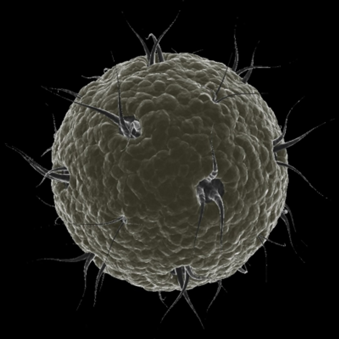 3d 20 micro objects set model https://p.turbosquid.com/ts-thumb/Jq/T8C8Z0/OrbTuPS1/virus10/jpg/1214243900/1920x1080/fit_q87/c32a8ff1ce5ad98b8e2689ea2ca5656572343236/virus10.jpg