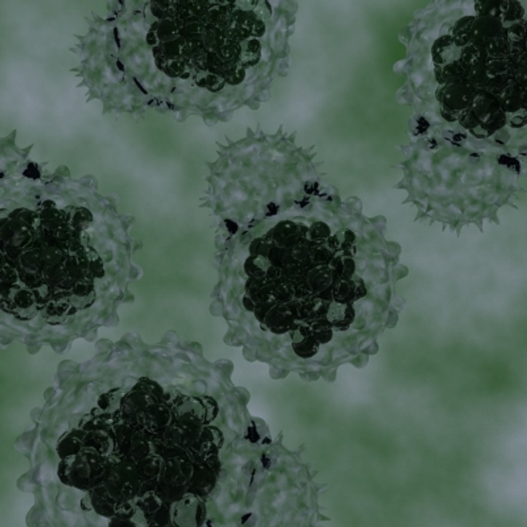 3d 20 micro objects set model https://p.turbosquid.com/ts-thumb/Jq/T8C8Z0/YW5kJo1d/protist4/jpg/1214243816/1920x1080/fit_q87/52d536a854ef1b60241a5f5b1e26352fc61630dc/protist4.jpg