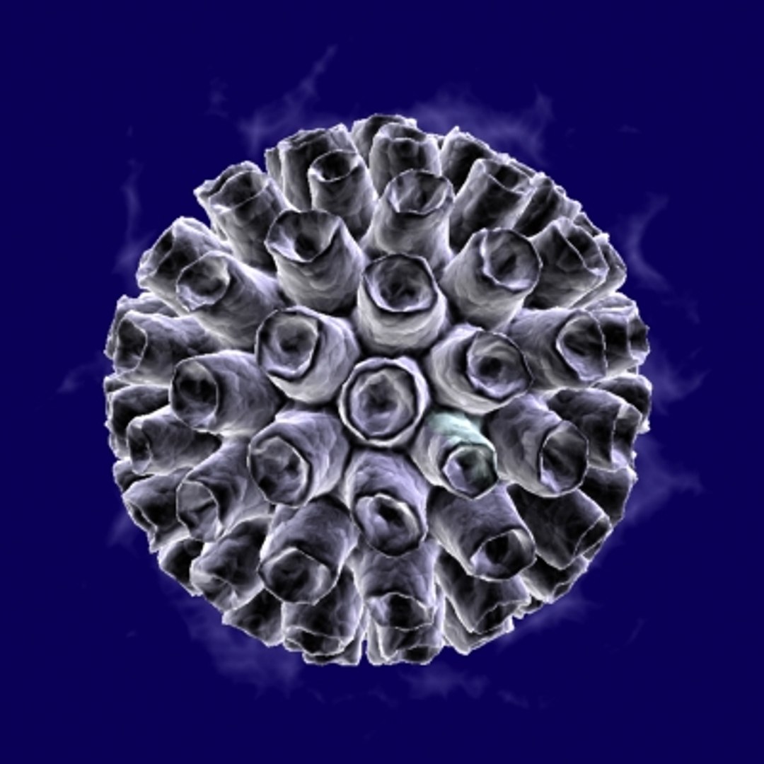 3d 20 micro objects set model https://p.turbosquid.com/ts-thumb/Jq/T8C8Z0/th42uhpd/kl/jpg/1214243798/1920x1080/fit_q87/a5a6702fc2db1444456c7fd8902862daa58e9456/kl.jpg