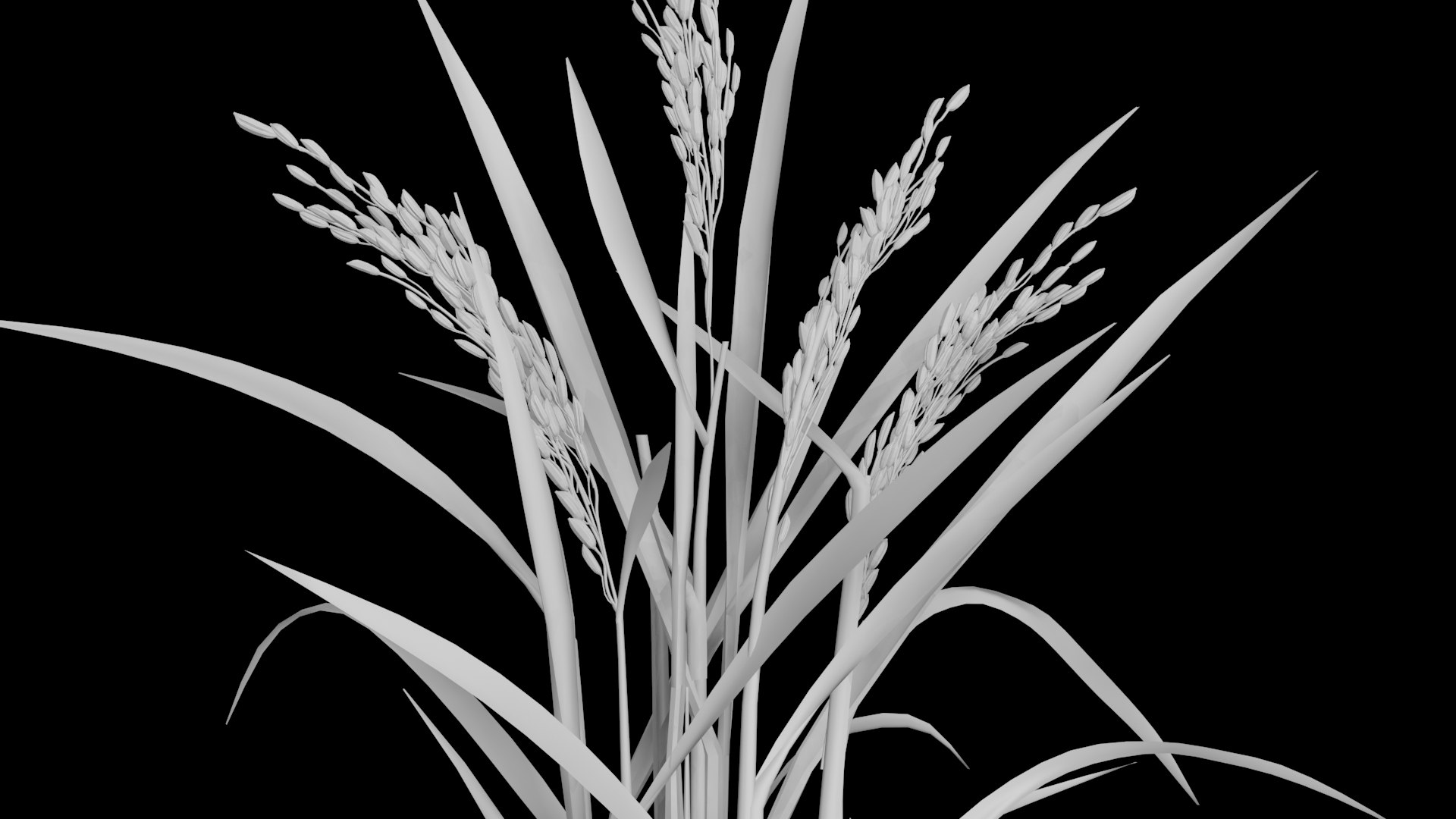 3D PADDY OPTION 8 PADDY FLOWER FINAL - TurboSquid 1837671
