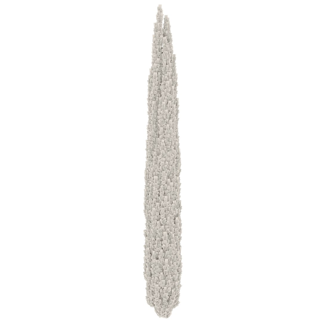 Italian Cypress 07 3D model https://p.turbosquid.com/ts-thumb/Jq/VW5oCP/EK/preview5ddfr/jpg/1749531628/1920x1080/fit_q87/fea53cc049968b2ba3ef88bf9af49a4500129a25/preview5ddfr.jpg