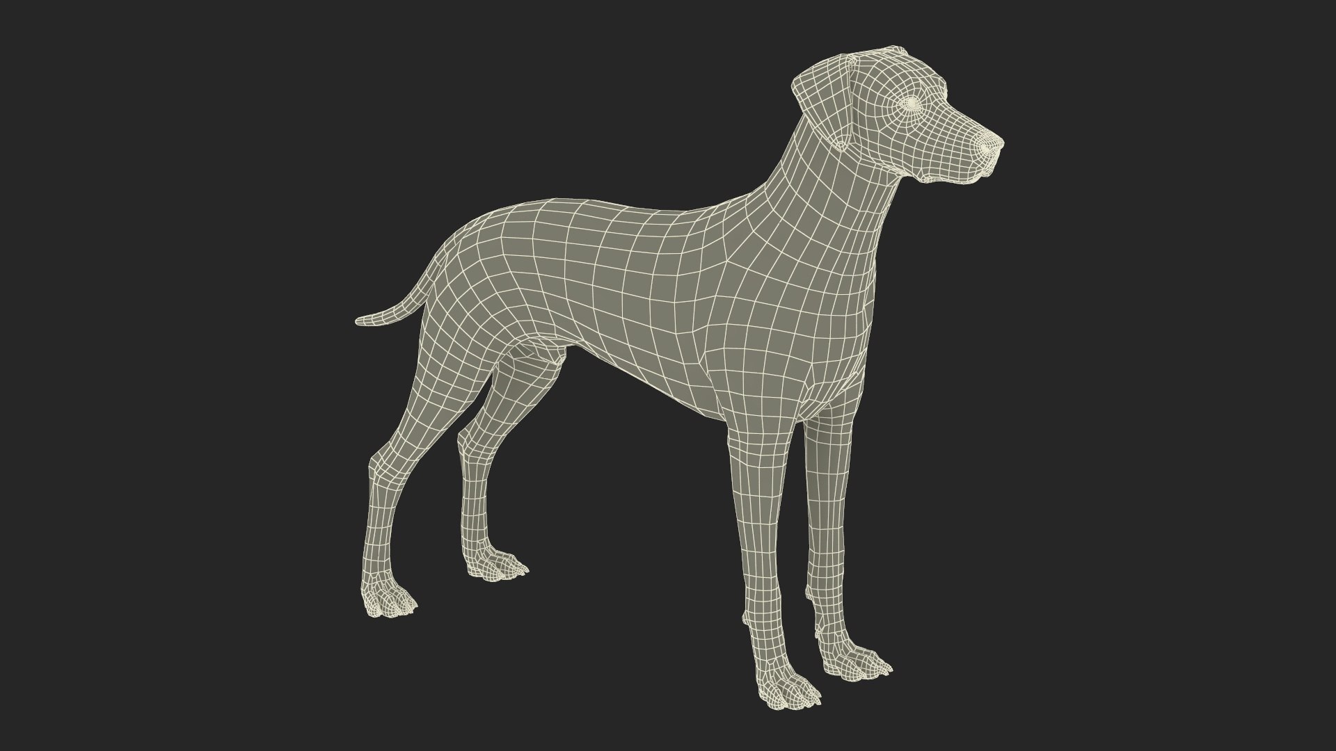 Dalmatian Dog Rigged for Maya 3D model https://p.turbosquid.com/ts-thumb/Jq/Vgim4D/9F/dalmatiandogriggedformaya3dmodel042/jpg/1727058216/1920x1080/fit_q87/e157920983caa6d743fa77950b7bfcb539d7a333/dalmatiandogriggedformaya3dmodel042.jpg