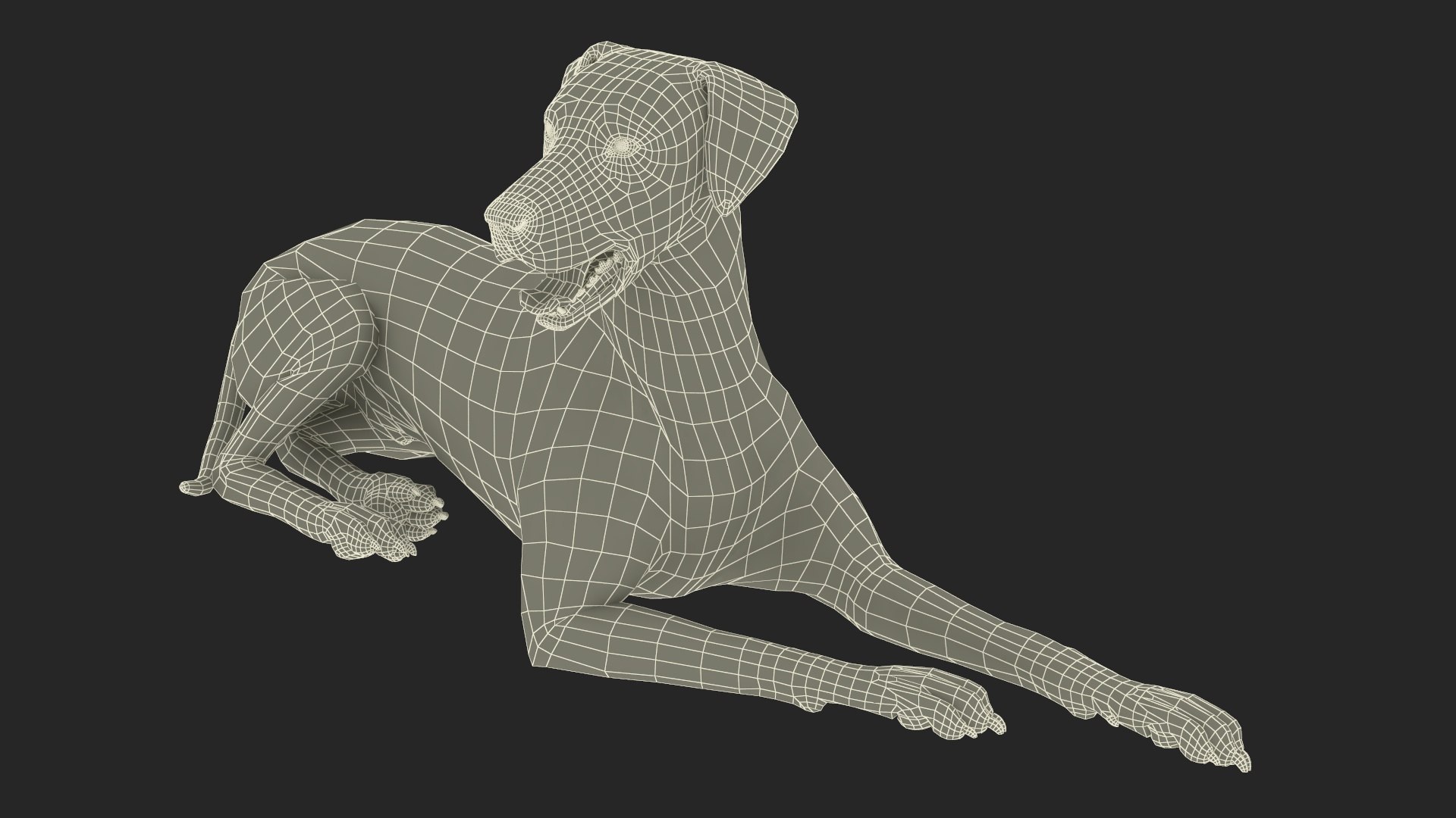 Dalmatian Dog Rigged for Maya 3D model https://p.turbosquid.com/ts-thumb/Jq/Vgim4D/SU/dalmatiandogriggedformaya3dmodel046/jpg/1727058228/1920x1080/fit_q87/3fc915dbb122d2df29e380bb92fbce27e4f13809/dalmatiandogriggedformaya3dmodel046.jpg