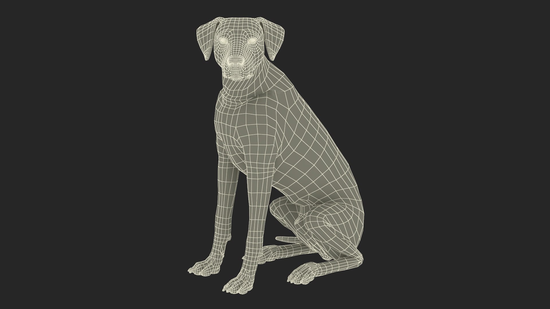 Dalmatian Dog Rigged for Maya 3D model https://p.turbosquid.com/ts-thumb/Jq/Vgim4D/ZI/dalmatiandogriggedformaya3dmodel040/jpg/1727058210/1920x1080/fit_q87/6a17e7f7ba3efdac972a0378ccd0b8cbad1f76b6/dalmatiandogriggedformaya3dmodel040.jpg