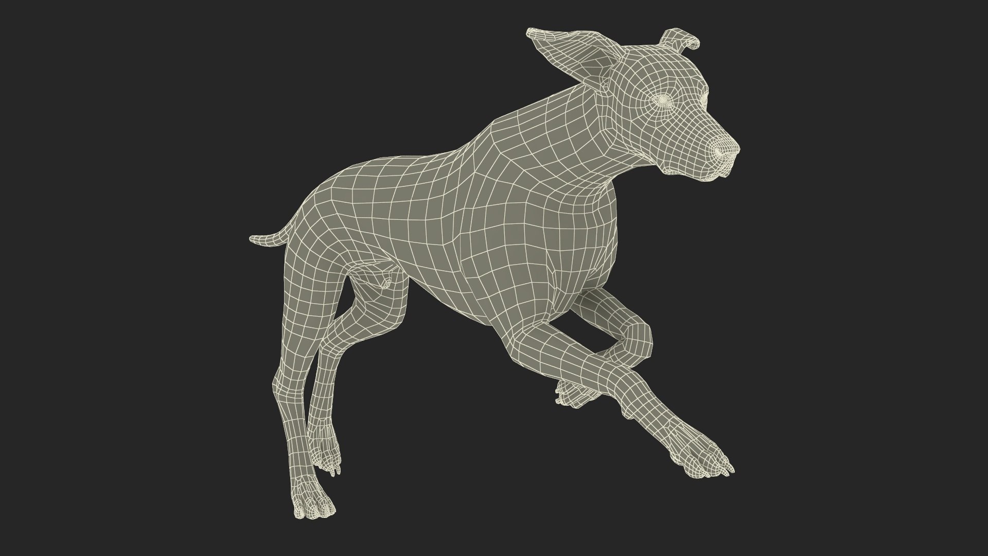 Dalmatian Dog Rigged for Maya 3D model https://p.turbosquid.com/ts-thumb/Jq/Vgim4D/vN/dalmatiandogriggedformaya3dmodel043/jpg/1727058219/1920x1080/fit_q87/570ccb5736f3011c21a4b754d706936d3d4d01d0/dalmatiandogriggedformaya3dmodel043.jpg