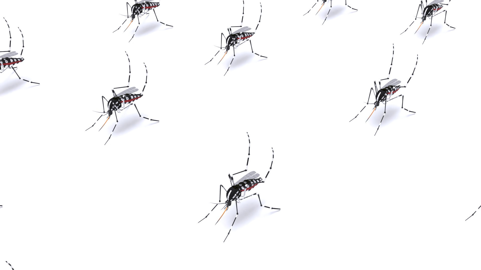 mosquito insect invertebrate model https://p.turbosquid.com/ts-thumb/Jq/a7gnJc/2V7gClP9/05/jpg/1593113007/1920x1080/fit_q87/60551e527c7ce609438db644a39f04b72787b529/05.jpg