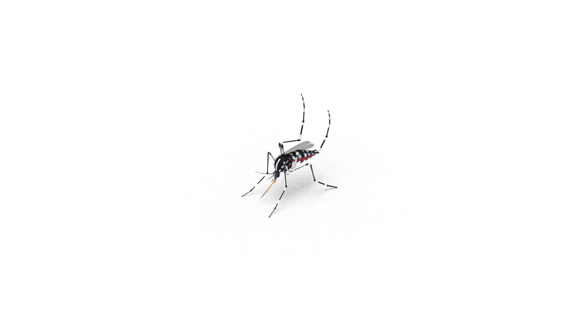 mosquito insect invertebrate model https://p.turbosquid.com/ts-thumb/Jq/a7gnJc/MqzavtiT/09/jpg/1593113039/1920x1080/fit_q87/2d74da943593da137d4beee5a7bf9c33efc77406/09.jpg