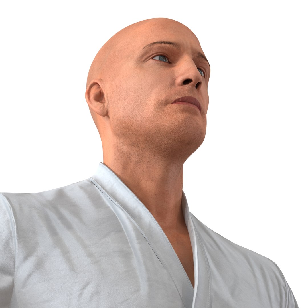 karate fighter 3d model https://p.turbosquid.com/ts-thumb/Jq/aUIl56/eOfG8mCK/karatefighterobj3dmodel30/jpg/1465298347/1920x1080/fit_q87/2ed7d052ca5410e8b680048eff33a2fb86f5fa6e/karatefighterobj3dmodel30.jpg