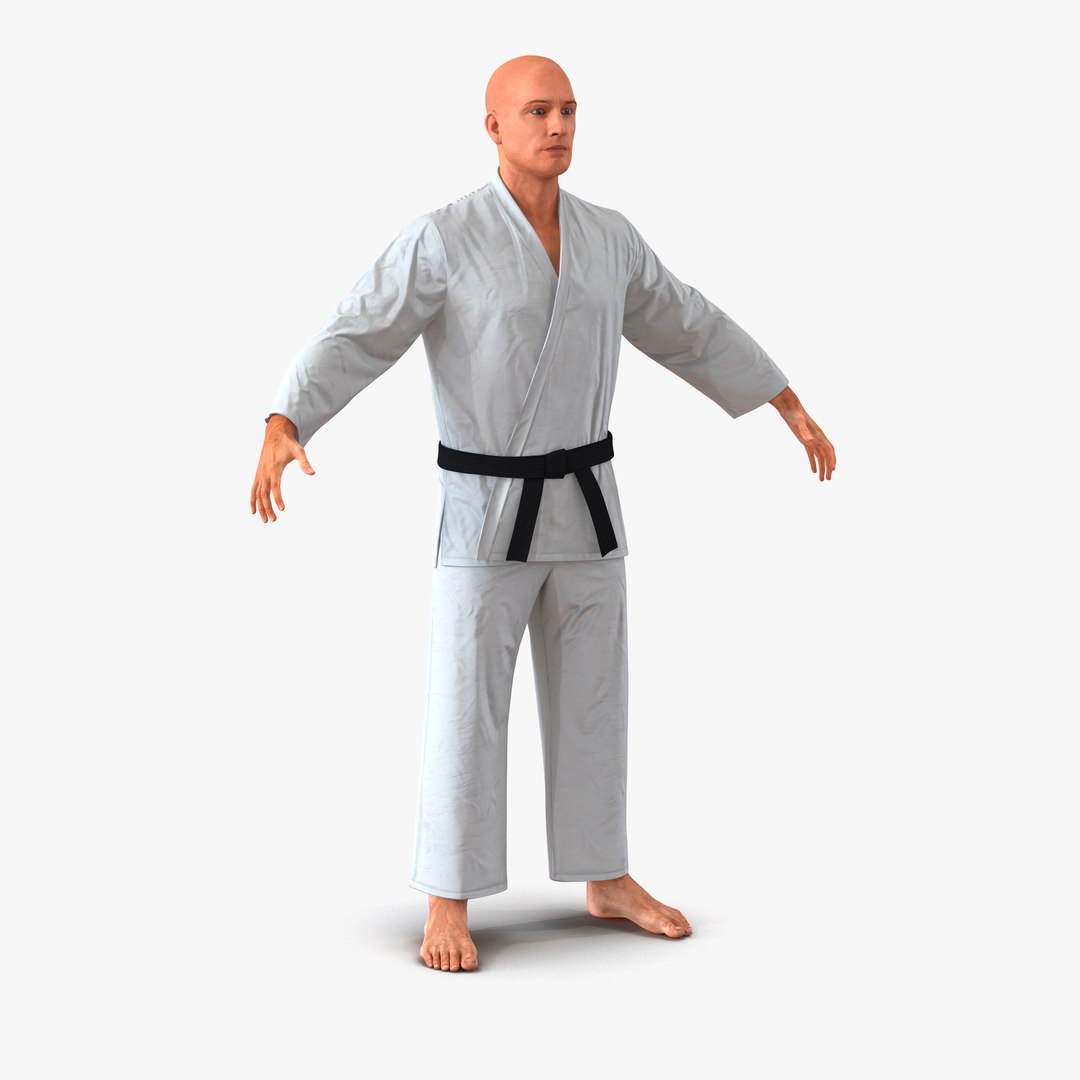 Karate Fighter 3D model preview