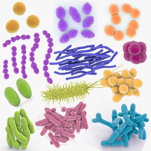 Bacteria Set