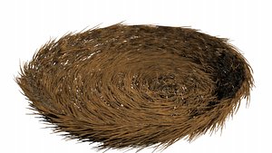 bird nest 3D model