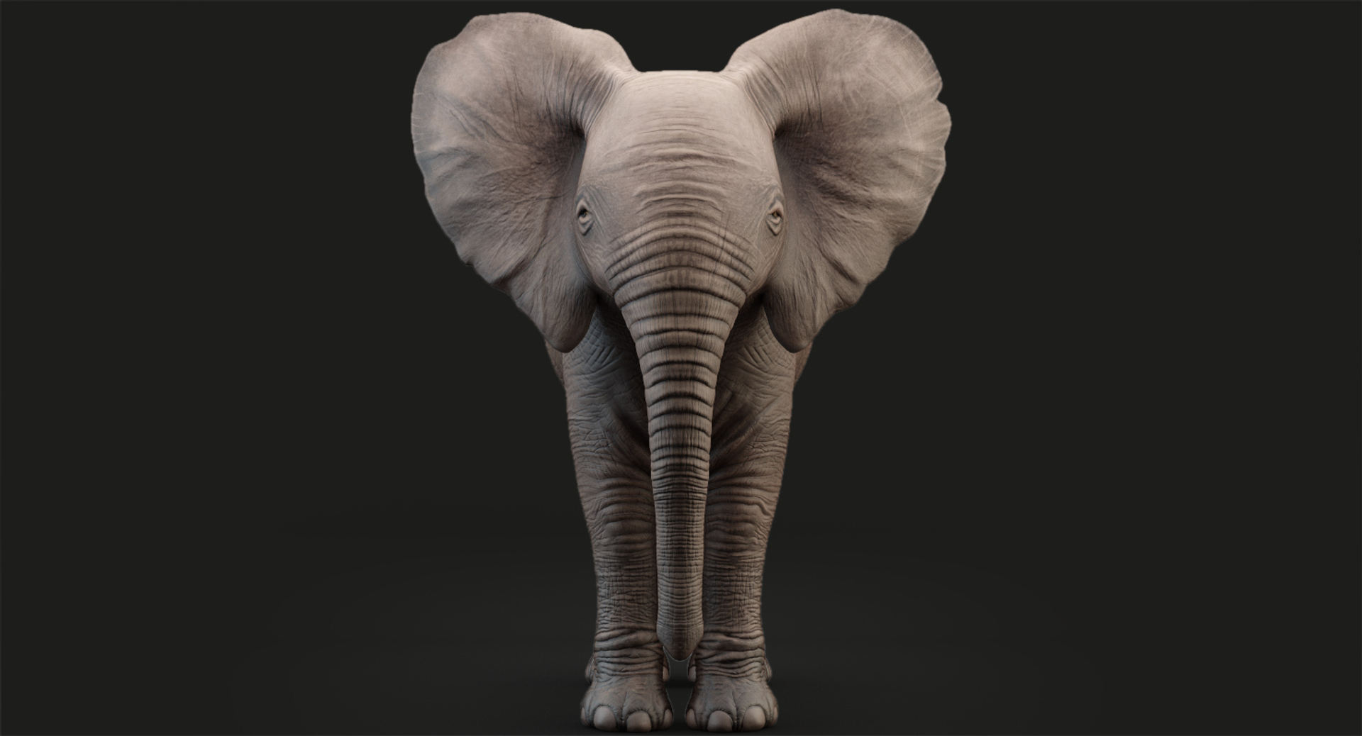 Elephant Baby Rigging Animation 3D Model - TurboSquid 1372256