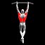 Back Exercises Pack - Pull Ups - Pulldown - Low Row - Barbell Row model