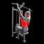 Back Exercises Pack - Pull Ups - Pulldown - Low Row - Barbell Row model