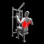 Back Exercises Pack - Pull Ups - Pulldown - Low Row - Barbell Row model