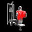 Back Exercises Pack - Pull Ups - Pulldown - Low Row - Barbell Row model