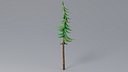 Cartoon Pine 08