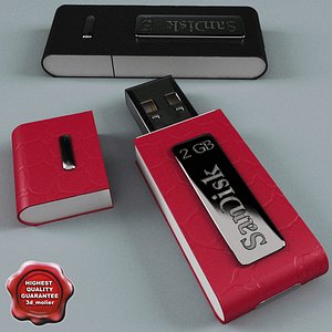 USB Flash Drive SanDisk 2Gb
