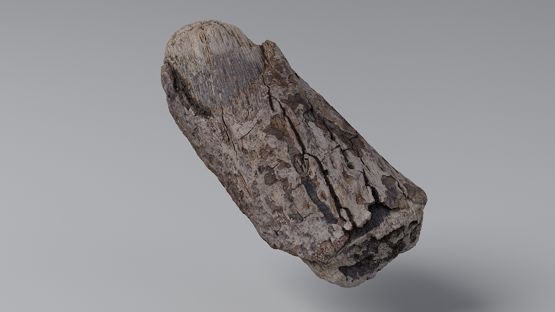 3D Twig 01 model - TurboSquid 1964121