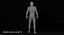 3D model male rigged