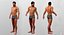3D model male rigged