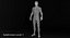3D model male rigged