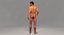 3D model male rigged