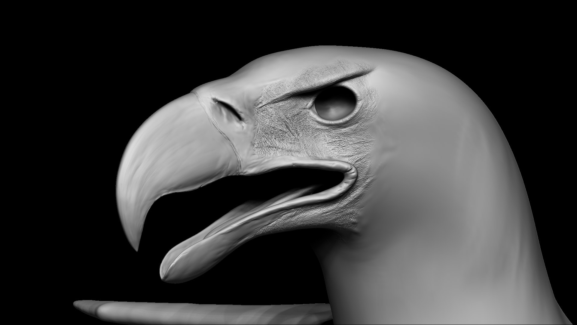 gryphon rigged 3D model https://p.turbosquid.com/ts-thumb/Jr/2o6Eq4/01uVYQV6/sculpt_01/png/1574198994/1920x1080/fit_q87/972c23941d4e4ff3b6dd7390353abd0c3b0b5ce3/sculpt_01.jpg