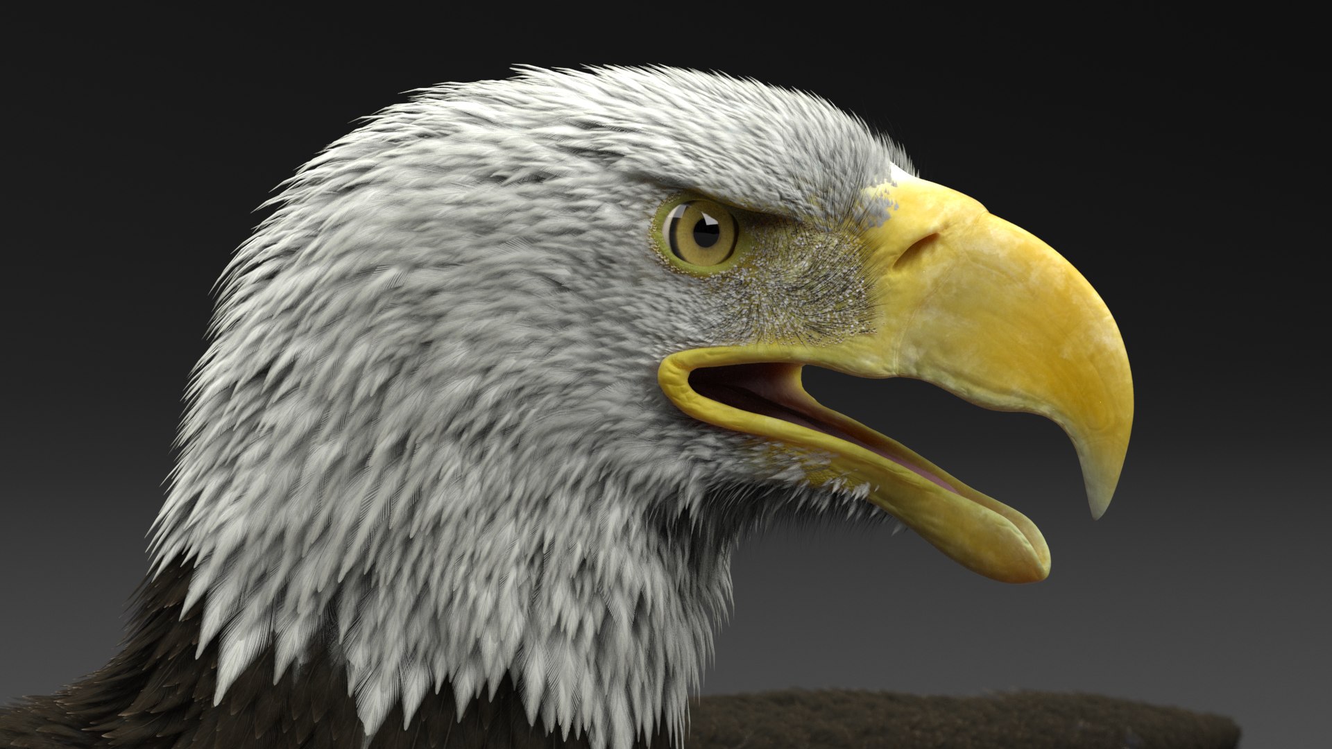 gryphon rigged 3D model https://p.turbosquid.com/ts-thumb/Jr/2o6Eq4/7bRL9M3M/2/png/1574198881/1920x1080/fit_q87/bc1e97f26c73b09bf922807bbf6565e022032d3f/2.jpg