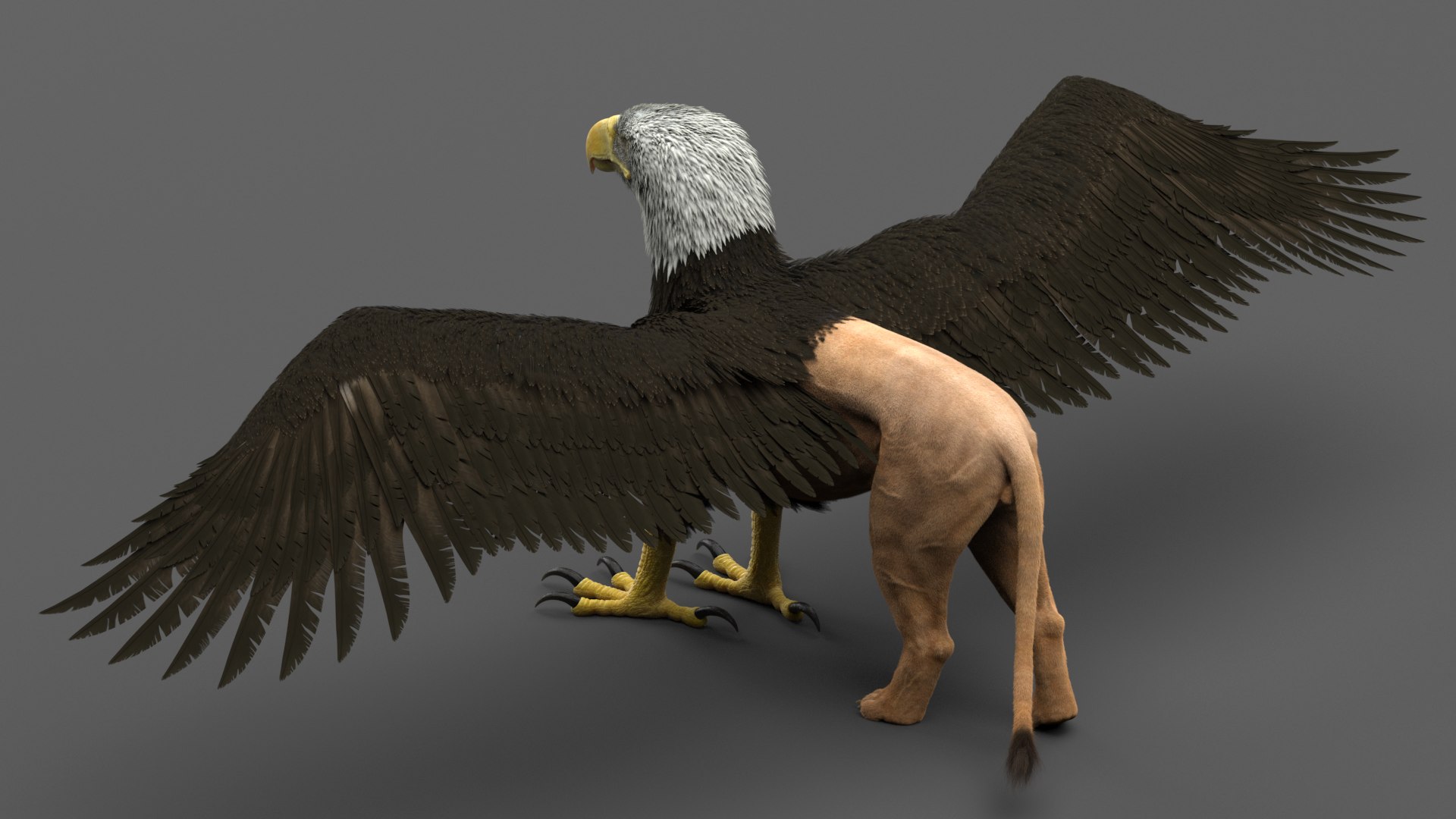 gryphon rigged 3D model https://p.turbosquid.com/ts-thumb/Jr/2o6Eq4/FAVLlGLB/17/png/1574198725/1920x1080/fit_q87/3270cc03279036c0e58023f54a2bfcad81e1b0e6/17.jpg