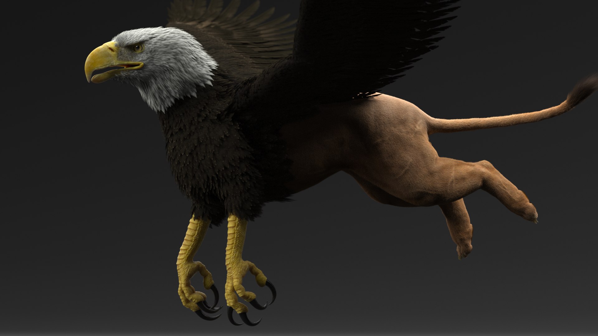 gryphon rigged 3D model https://p.turbosquid.com/ts-thumb/Jr/2o6Eq4/bg33tGCz/16/png/1574198725/1920x1080/fit_q87/b5ee72e62ace93b84142235be64d77284b8a5769/16.jpg