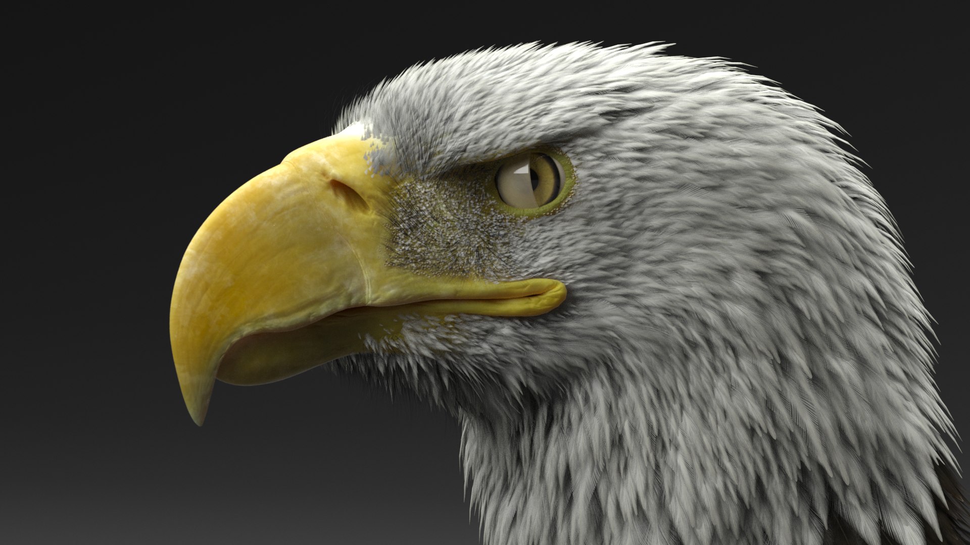 gryphon rigged 3D model https://p.turbosquid.com/ts-thumb/Jr/2o6Eq4/fLl2ALWw/3/png/1574198724/1920x1080/fit_q87/6bb6950610d6659e4c737462243c9e8979a68c87/3.jpg