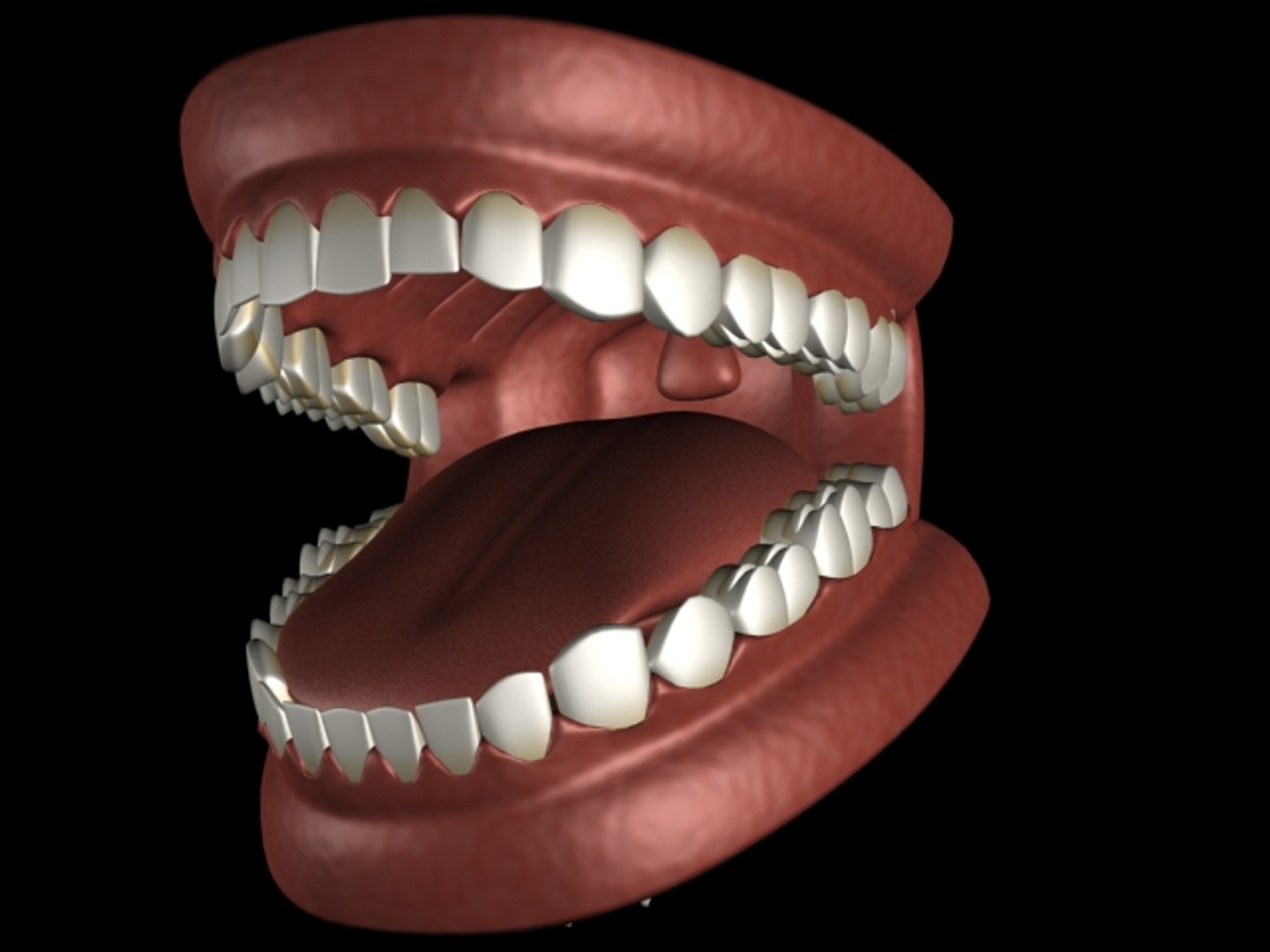 mouth tongue teeth e 3d model https://p.turbosquid.com/ts-thumb/Jr/HaN91C/N3YLKOT1/boca03/jpg/1271926507/1920x1080/fit_q87/c2d9d46432415c5b9fd1d0cb05790d1010d3d954/boca03.jpg