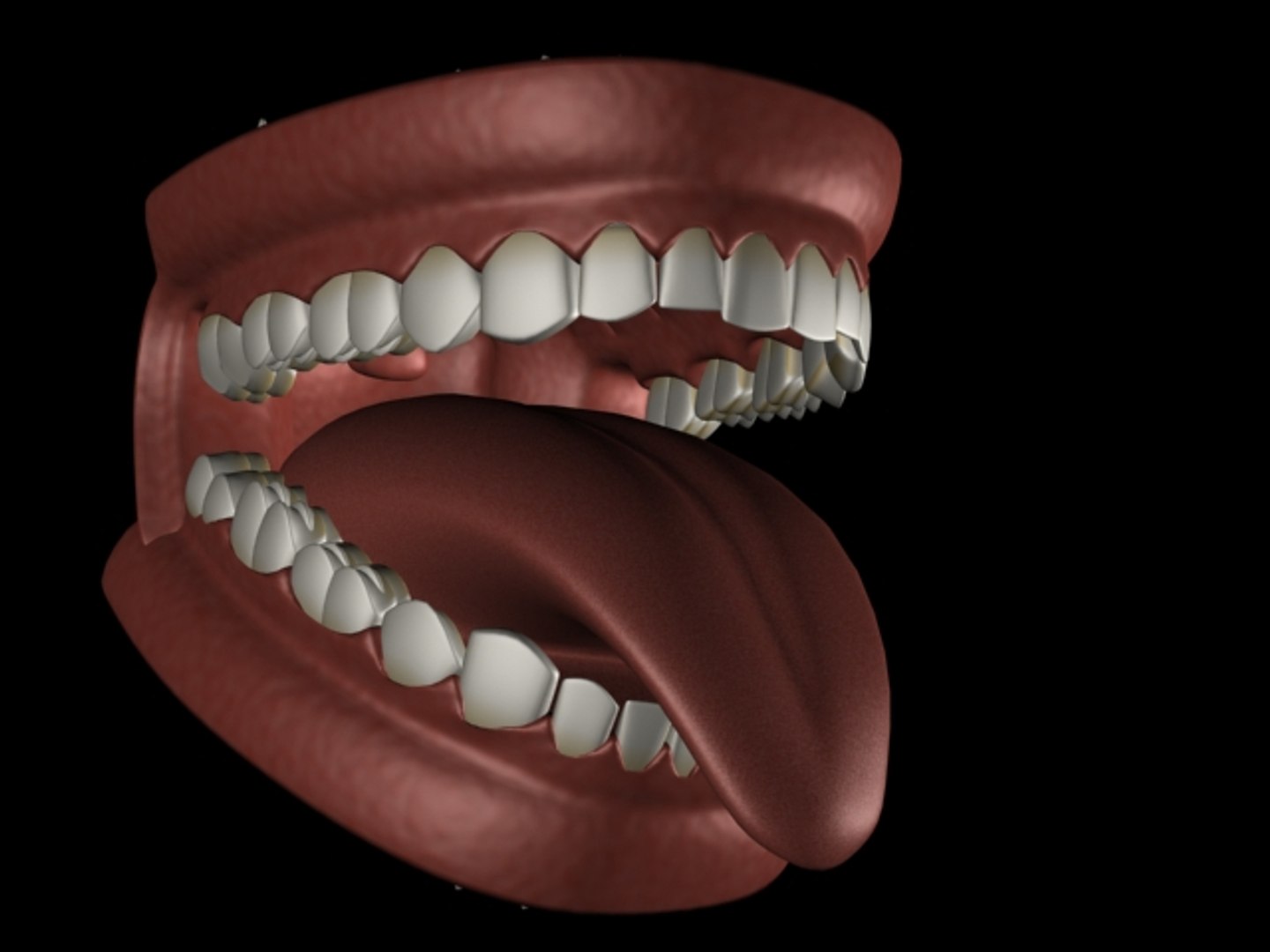 mouth tongue teeth e 3d model https://p.turbosquid.com/ts-thumb/Jr/HaN91C/OJ7aS64B/boca06/jpg/1271926516/1920x1080/fit_q87/ab8b6f3bb0155054f038d0178aca0637e16fbe82/boca06.jpg