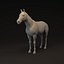 Horse Base Mesh