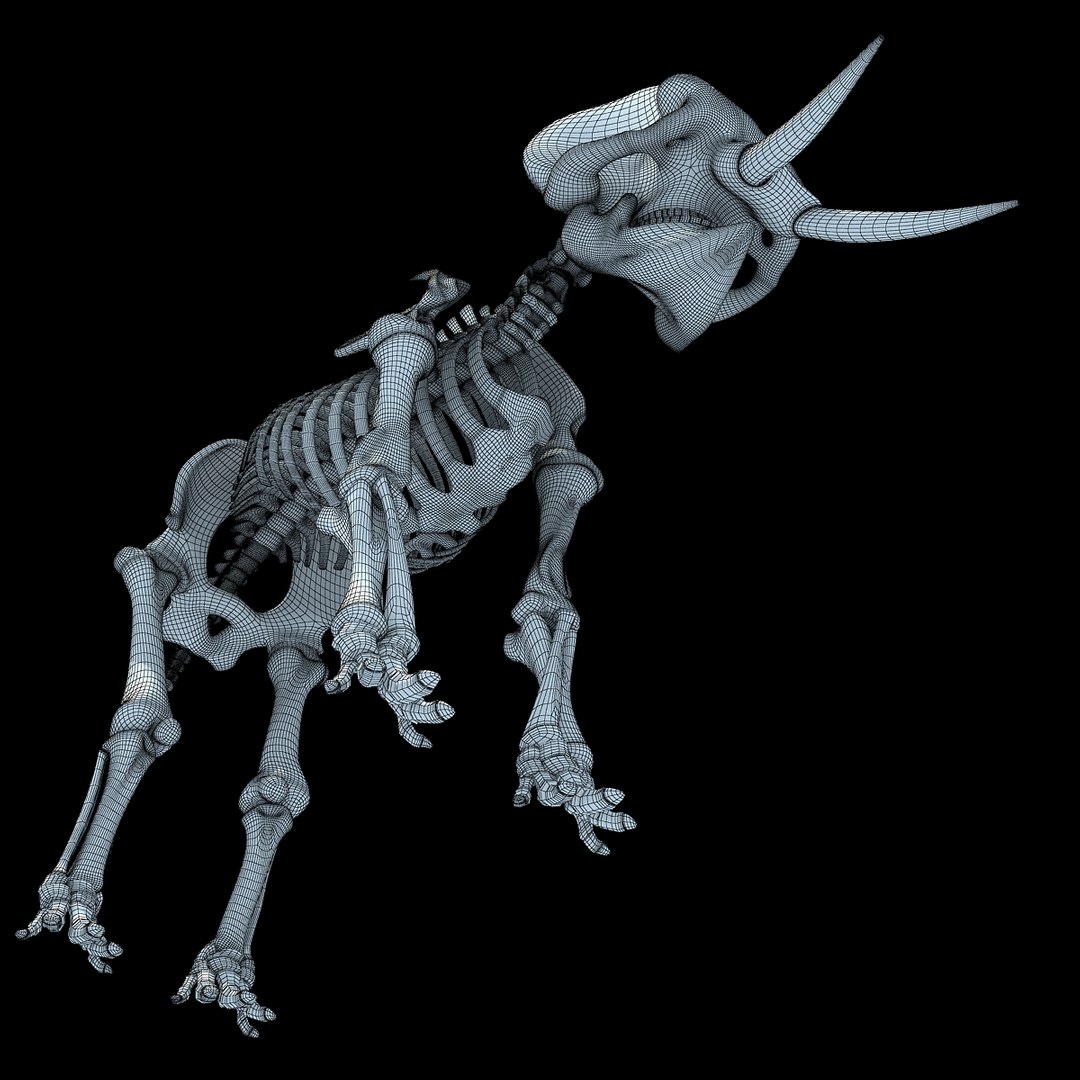 3ds asian elephant skeleton https://p.turbosquid.com/ts-thumb/Jr/OaHTVd/wtmsm2w5/wire0008/jpg/1350182057/1920x1080/fit_q87/a20b8df3a66179dc9f95f446d73baae8f09d8bae/wire0008.jpg
