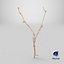 Cellula staminale scansionata Sprig 20
