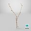 Cellula staminale scansionata Sprig 20