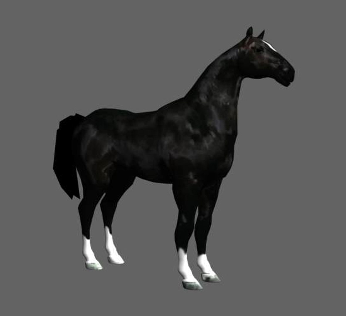 3D Horse - TurboSquid 569302
