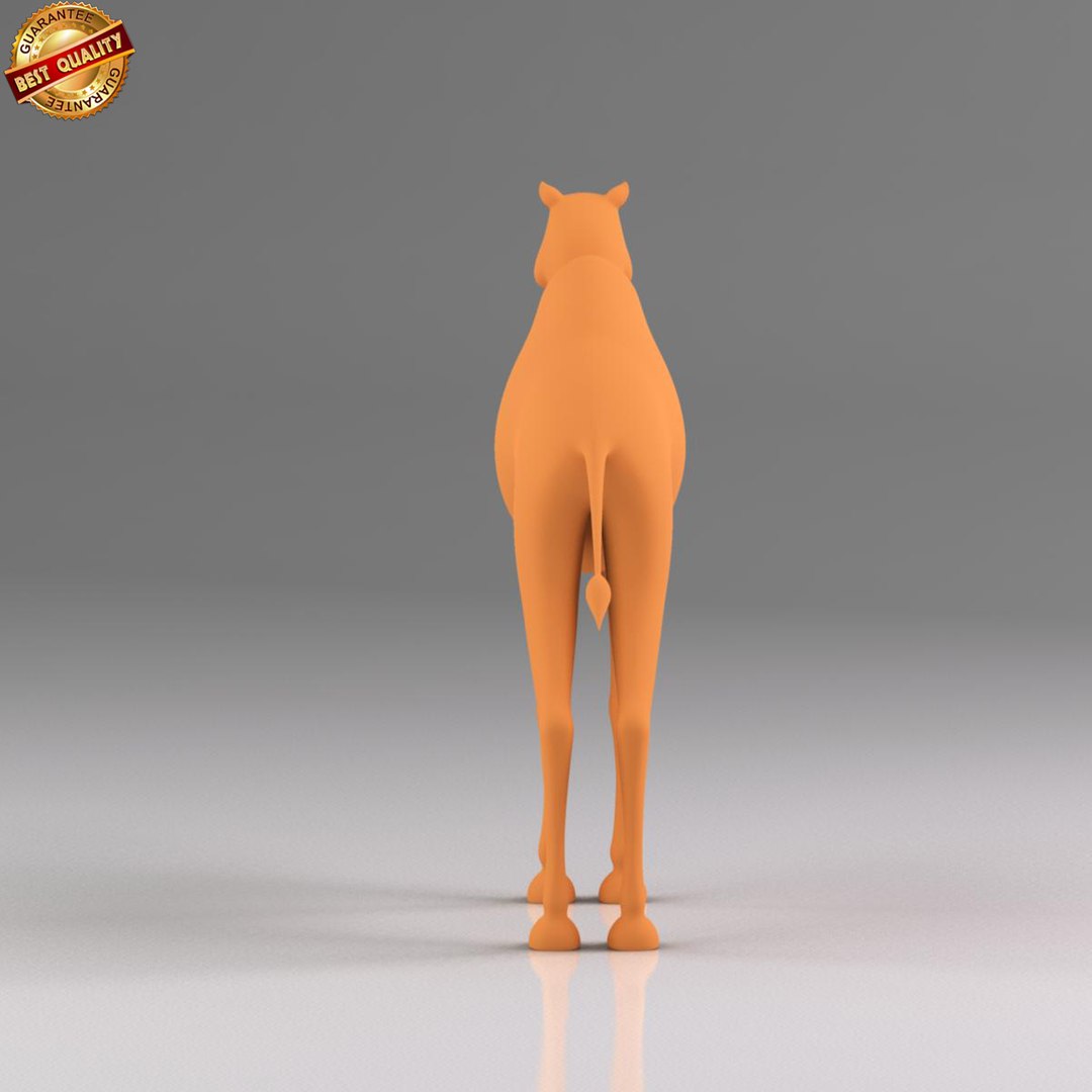 cartoon camel obj https://p.turbosquid.com/ts-thumb/Jr/eWW2G2/BQ7mkYC1/ts_camel_view_6/jpg/1428132924/1920x1080/fit_q87/fa122b74490e0eebc1286d76531e21fd44a2e797/ts_camel_view_6.jpg