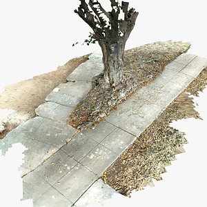 3D model Knotted Tree