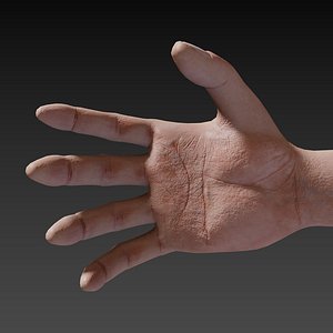 3D female arm