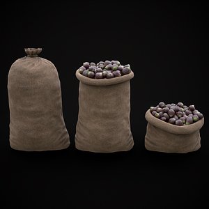 Burlap Sacks of Onions model