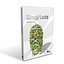 3d lwo xfrogplants african violet plant