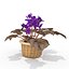 3d lwo xfrogplants african violet plant
