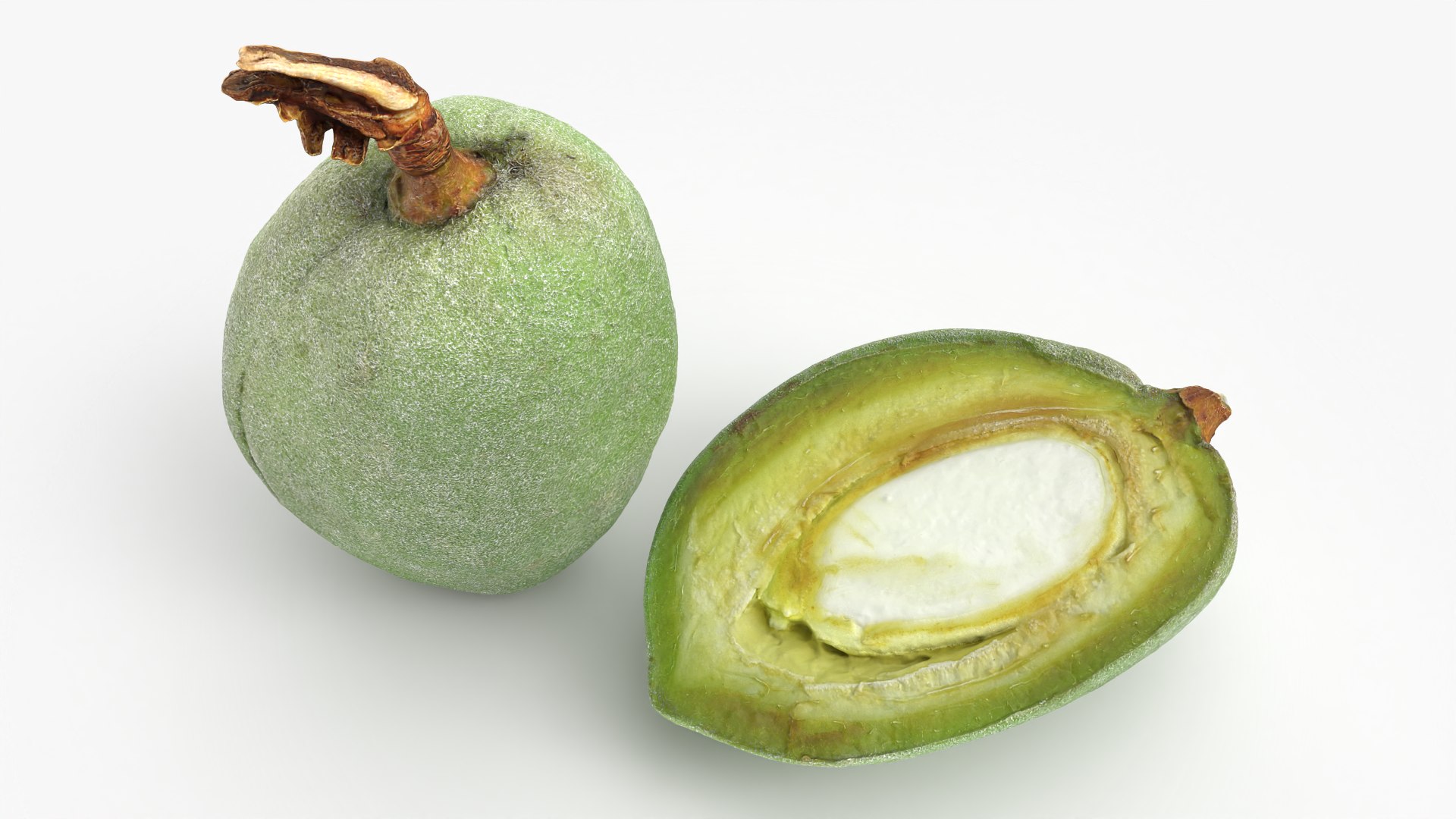 3D Fresh Almond Pod Cut Open model https://p.turbosquid.com/ts-thumb/Js/eq2gfE/19/almondgreencut_0004/png/1781515630/1920x1080/fit_q87/a0b033e5429dcf6f09ad2ecbe4319852e305849e/almondgreencut_0004.jpg