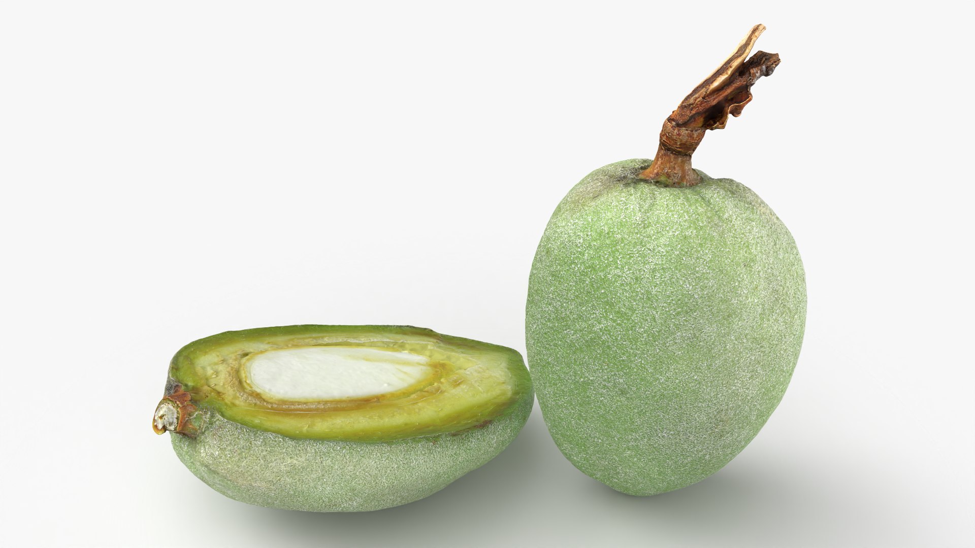 3D Fresh Almond Pod Cut Open model https://p.turbosquid.com/ts-thumb/Js/eq2gfE/4a/almondgreencut_0002/png/1781515617/1920x1080/fit_q87/1e6825c2a0d74ea2b335f1dd890f9402450fe7b2/almondgreencut_0002.jpg