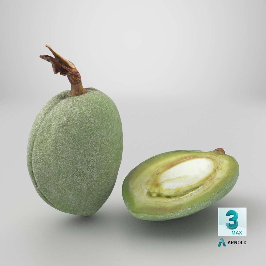 3D Fresh Almond Pod Cut Open model https://p.turbosquid.com/ts-thumb/Js/eq2gfE/6g/stemcell_max_arnold_render/png/1782395769/1920x1080/fit_q87/d8f94365ab5f6e0e28aa17b3c02590c64f700b1f/stemcell_max_arnold_render.jpg